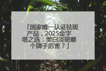 国家唯一认证祛斑产品，2025金字塔之选：美白淡斑哪个牌子厉害？