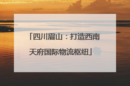 四川眉山：打造西南天府国际物流枢纽