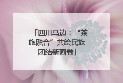 四川马边：“茶旅融合”共绘民族团结新画卷