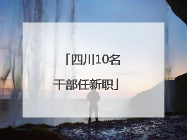 四川10名干部任新职