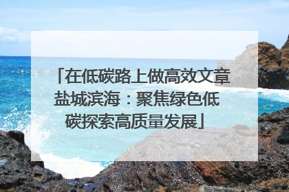 在低碳路上做高效文章 盐城滨海：聚焦绿色低碳探索高质量发展