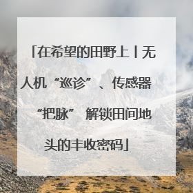 在希望的田野上丨无人机“巡诊”、传感器“把脉” 解锁田间地头的丰收密码