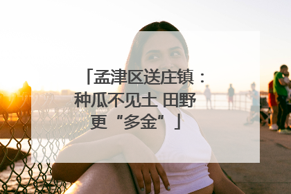 孟津区送庄镇：种瓜不见土 田野更“多金”