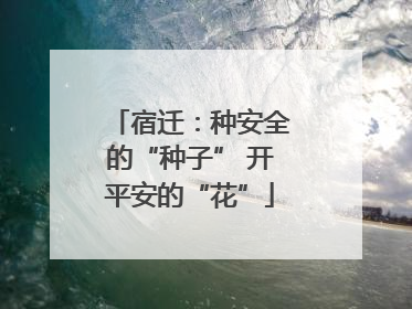 宿迁：种安全的“种子” 开平安的“花”