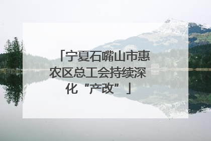 宁夏石嘴山市惠农区总工会持续深化“产改”