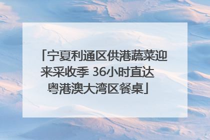 宁夏利通区供港蔬菜迎来采收季 36小时直达粤港澳大湾区餐桌