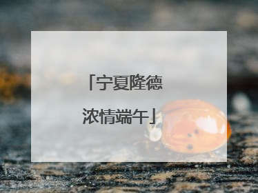 宁夏隆德 浓情端午