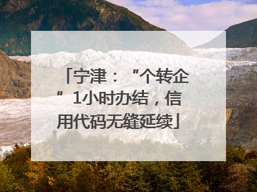 宁津：“个转企”1小时办结，信用代码无缝延续