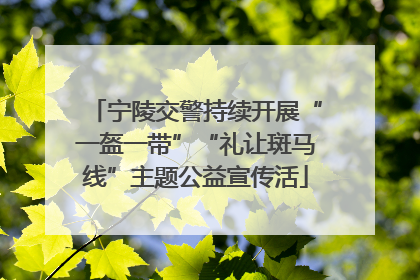 宁陵交警持续开展“一盔一带”“礼让斑马线”主题公益宣传活