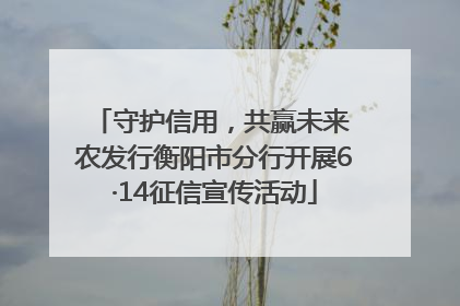 守护信用，共赢未来 农发行衡阳市分行开展6·14征信宣传活动