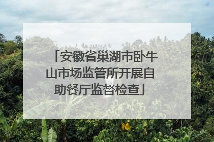 安徽省巢湖市卧牛山市场监管所开展自助餐厅监督检查