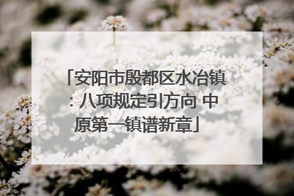 安阳市殷都区水冶镇：八项规定引方向 中原第一镇谱新章