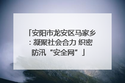 安阳市龙安区马家乡：凝聚社会合力 织密防汛“安全网”