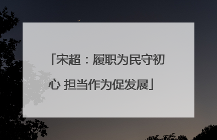 宋超：履职为民守初心 担当作为促发展