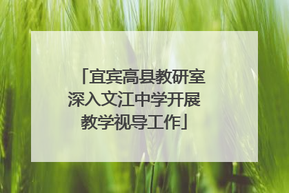 宜宾高县教研室深入文江中学开展教学视导工作