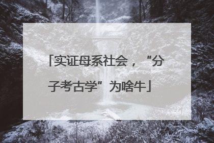 实证母系社会，“分子考古学”为啥牛