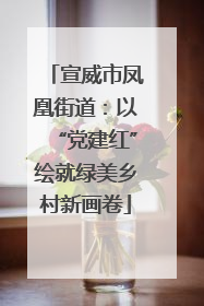 宣威市凤凰街道：以“党建红”绘就绿美乡村新画卷