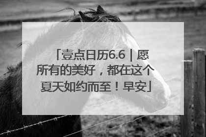 壹点日历6.6｜愿所有的美好，都在这个夏天如约而至！早安