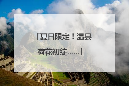 夏日限定！温县荷花初绽……