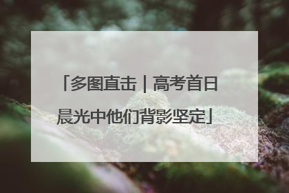 多图直击｜高考首日 晨光中他们背影坚定