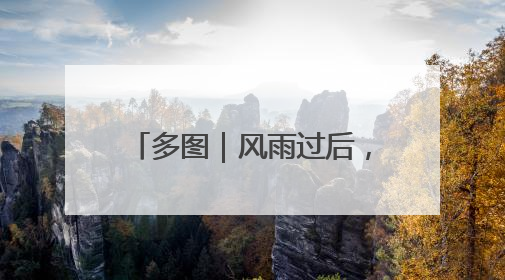 多图｜风雨过后，密云水库“鸟岛”上的幼鸟还好吗？