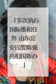 多次执行国际维和任务 山东公安民警陈强亮相国新办