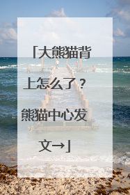 大熊猫背上怎么了？熊猫中心发文→