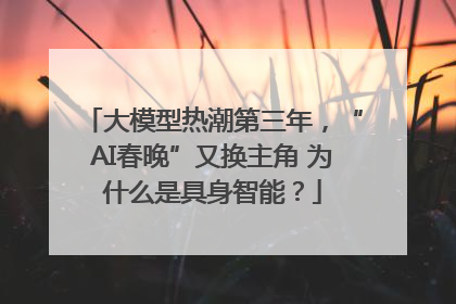 大模型热潮第三年，“AI春晚”又换主角 为什么是具身智能？
