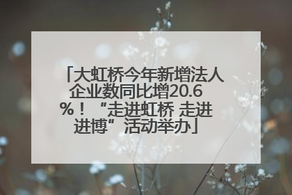 大虹桥今年新增法人企业数同比增20.6%！“走进虹桥 走进进博”活动举办