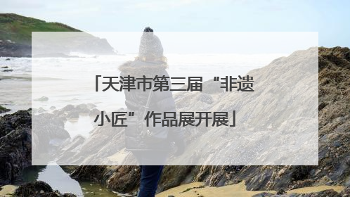 天津市第三届“非遗小匠”作品展开展