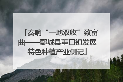 奏响“一地双收”致富曲——鄄城县董口镇发展特色种植产业侧记