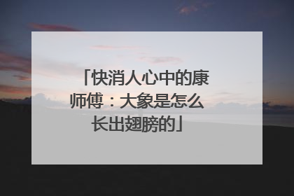 快消人心中的康师傅：大象是怎么长出翅膀的
