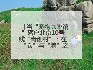 当“宠物咖啡馆”落户北京10号线“青创村”：在“卷”与“躺”之间，他们找到了第三种生活公式