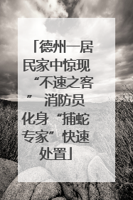 德州一居民家中惊现“不速之客” 消防员化身“捕蛇专家”快速处置