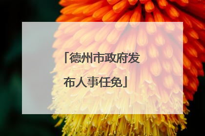 德州市政府发布人事任免