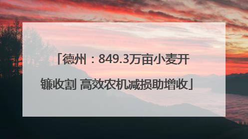 德州：849.3万亩小麦开镰收割 高效农机减损助增收