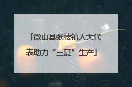 微山县张楼镇人大代表助力“三夏”生产