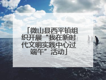 微山县西平镇组织开展“我在新时代文明实践中心过端午”活动