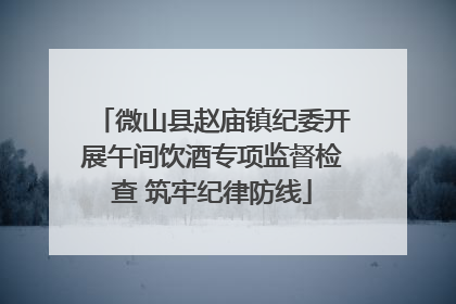 微山县赵庙镇纪委开展午间饮酒专项监督检查 筑牢纪律防线