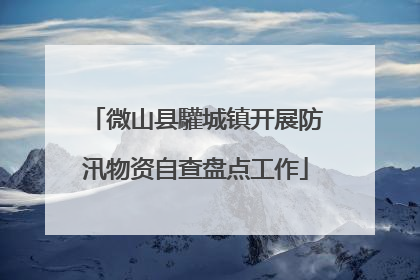 微山县驩城镇开展防汛物资自查盘点工作