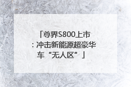 尊界S800上市：冲击新能源超豪华车“无人区”