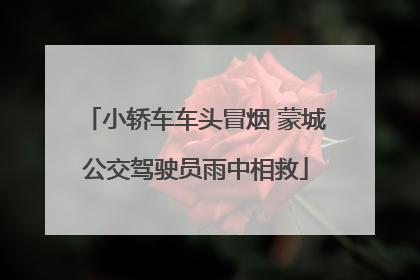 小轿车车头冒烟 蒙城公交驾驶员雨中相救