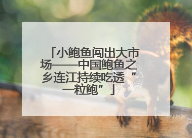 小鲍鱼闯出大市场——中国鲍鱼之乡连江持续吃透“一粒鲍”