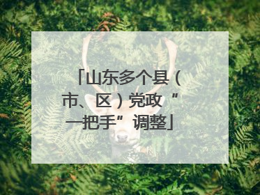 山东多个县（市、区）党政“一把手”调整