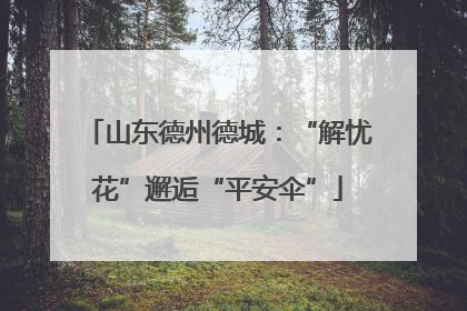 山东德州德城：“解忧花”邂逅“平安伞”
