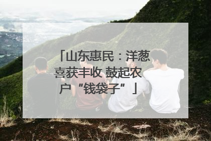 山东惠民：洋葱喜获丰收 鼓起农户“钱袋子”