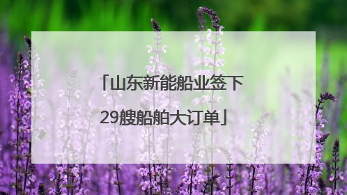 山东新能船业签下29艘船舶大订单