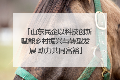 山东民企以科技创新赋能乡村振兴与转型发展 助力共同富裕