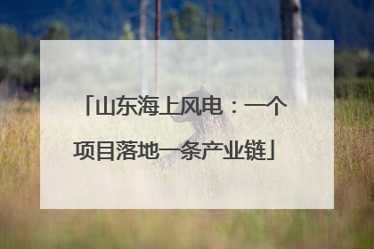 山东海上风电：一个项目落地一条产业链