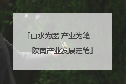 山水为墨 产业为笔——陕南产业发展走笔